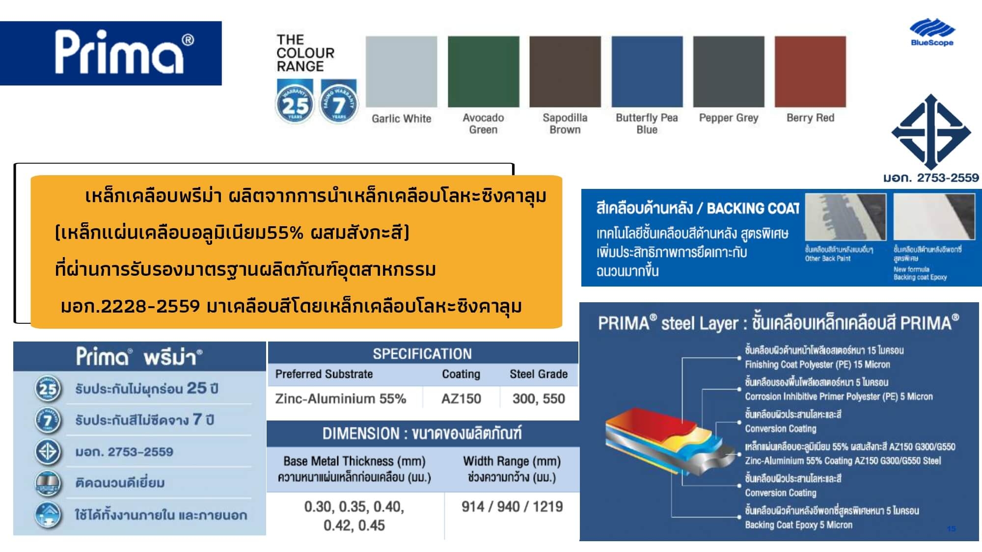 Article Image 14