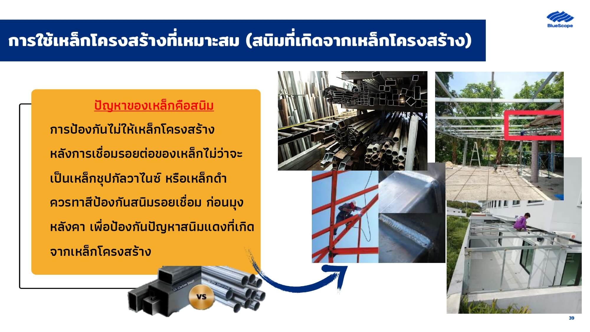 Article Image 38