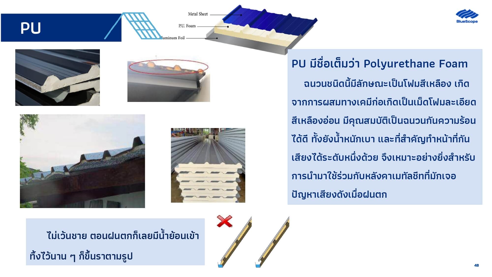 Article Image 47