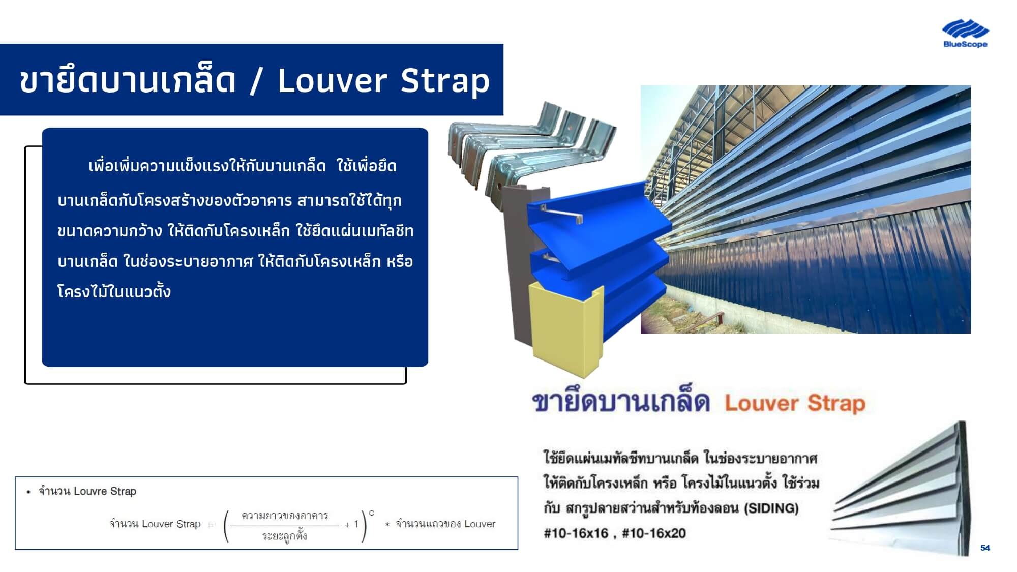 Article Image 53