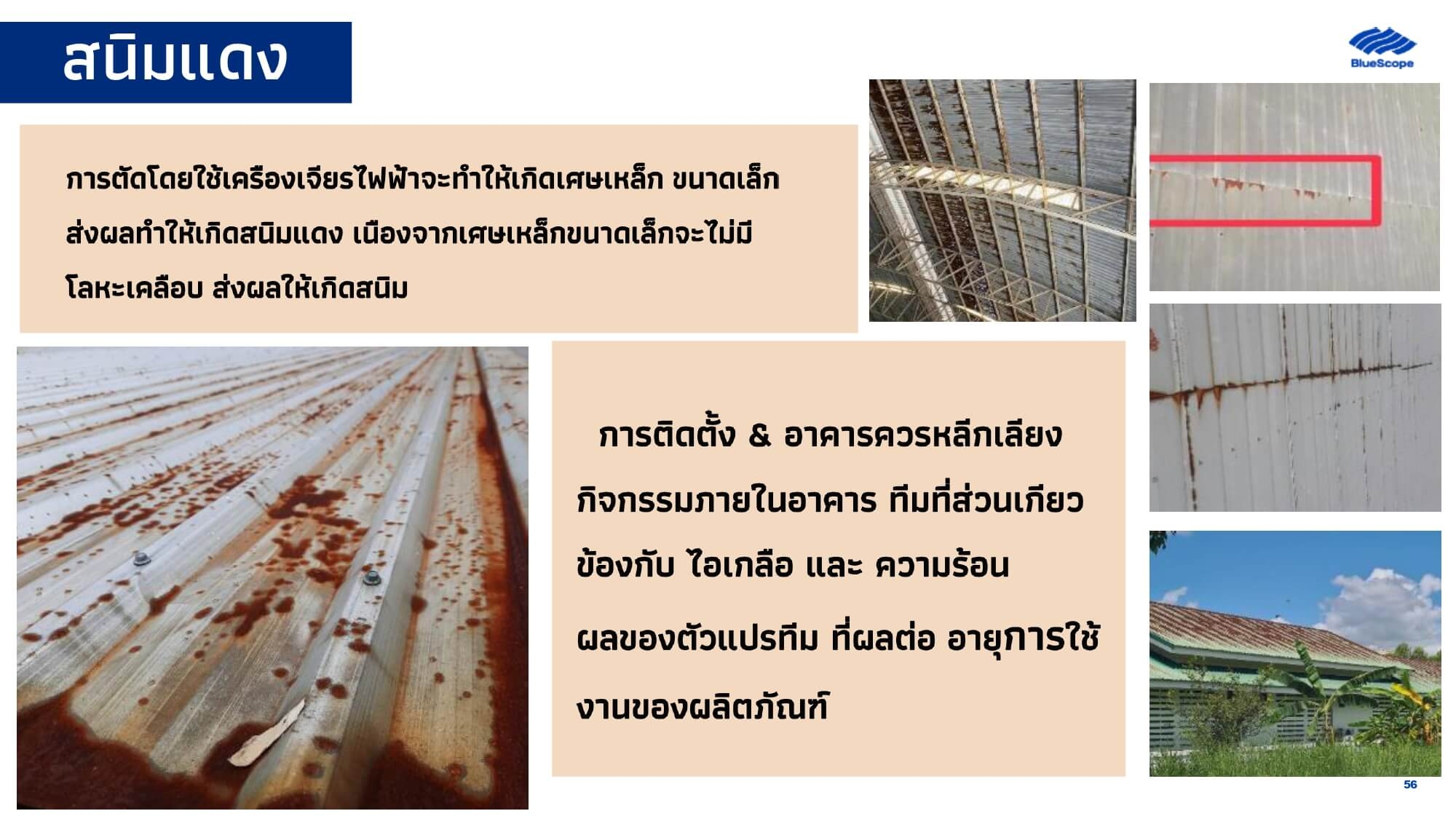 Article Image 55
