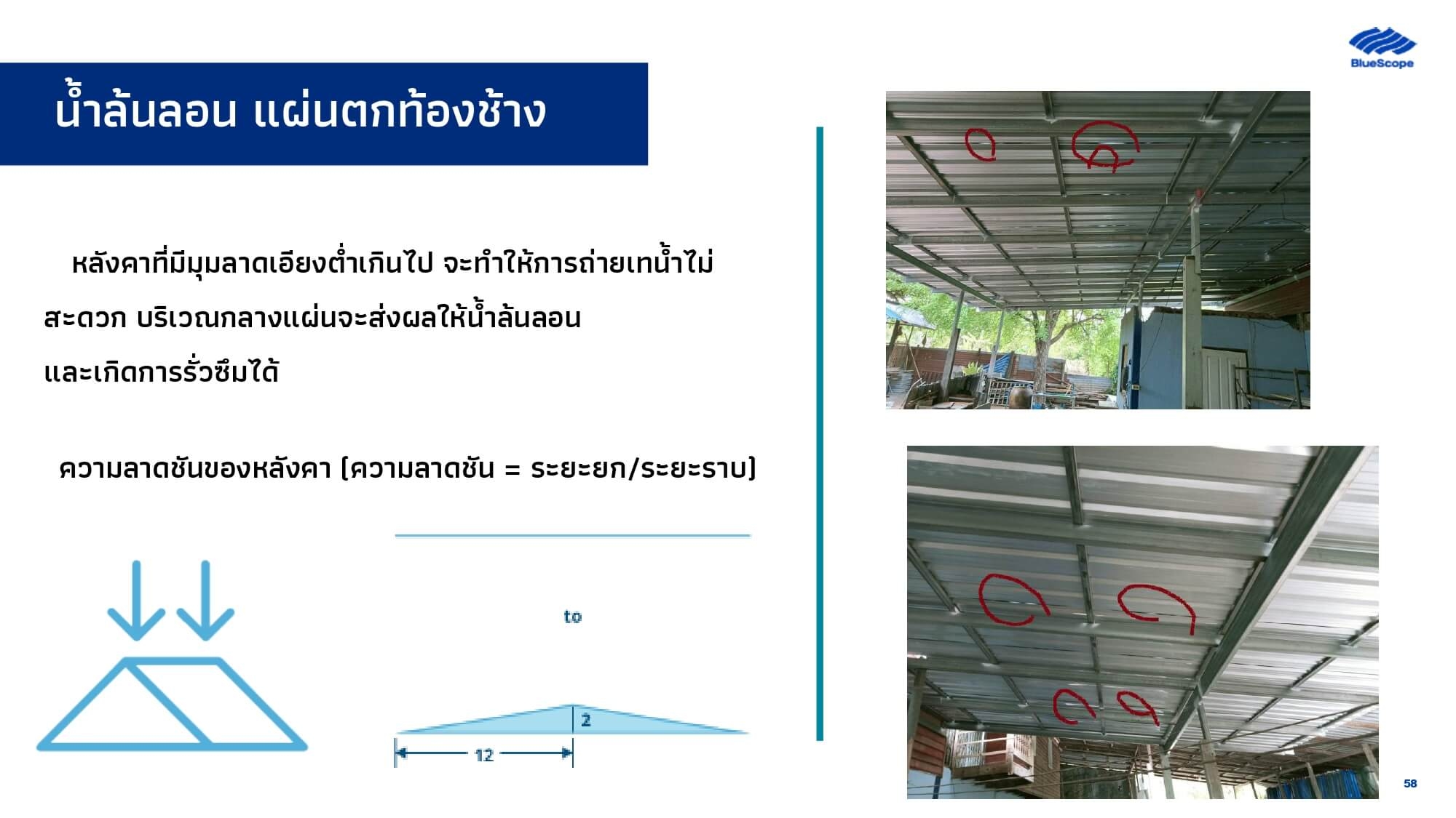 Article Image 57